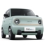 Electric golfcar  and Mini EV cars 