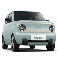 Electric golfcar  and Mini EV cars 