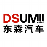 DSUM Motor